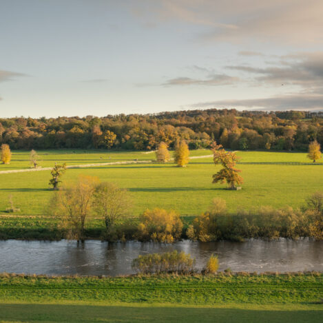 Serene countryside view with lush green fields and calm river under a clear sky.