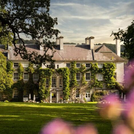 Grand country house with ivy, surrounded by lush gardens and vibrant flowers under a serene sky.
