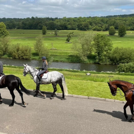 A group horse riding beside a serene river on a sunny day, surrounded by lush greenery.